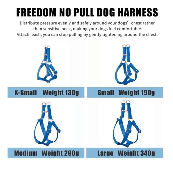 Soft Leather No Pull Dog Harness, Size XS - Picture 9 of 10